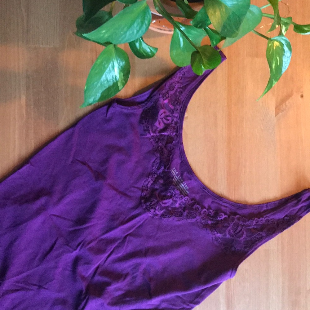 🎉HP🎉Pretty in Plum
